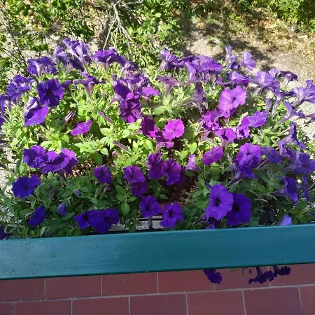 Le Stanze Della Terrazza Sul Borgo Castel del Piano